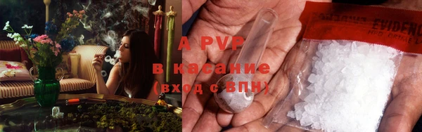 гашик Нефтекумск
