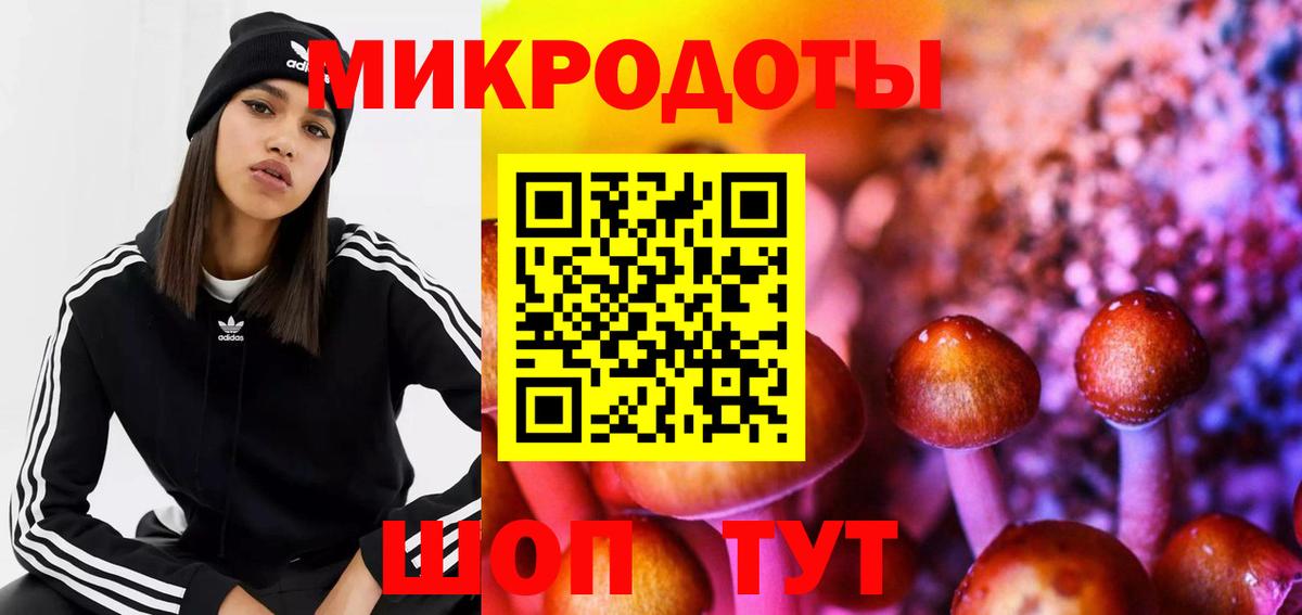 Галлюциногенные грибы мицелий Алейск