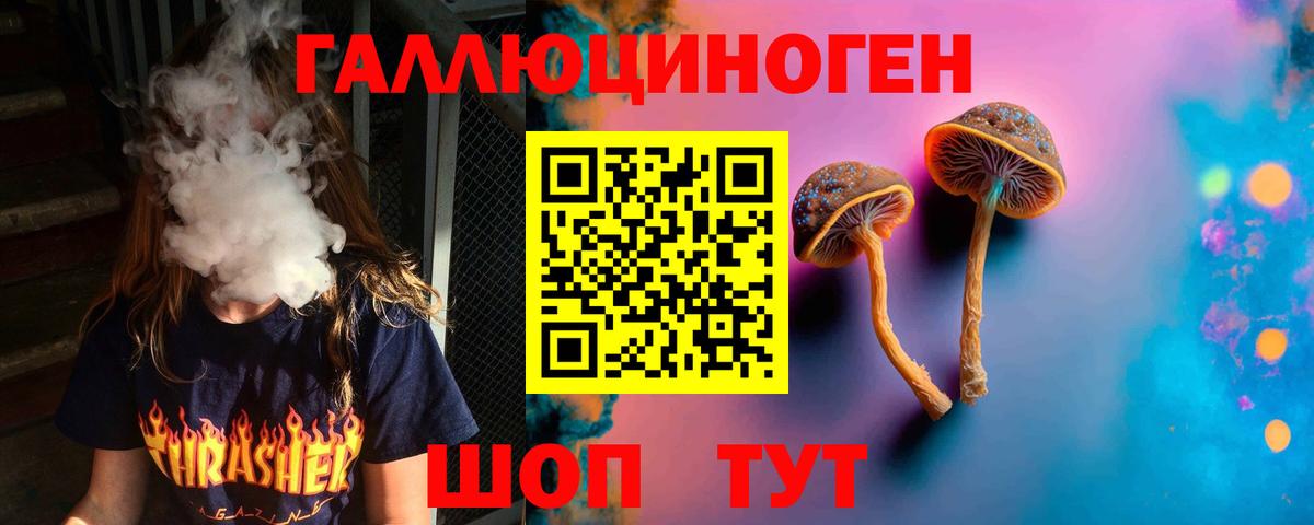 Алейск  Псилоцибиновые грибы GOLDEN TEACHER  Вход с VPN  Галлюциногенные грибы GOLDEN TEACHER 